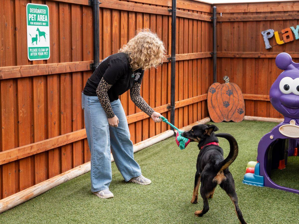 Taylor playing with a dog in the play yard