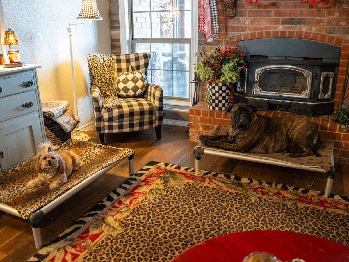 Two dogs relaxing on raised beds beside a fireplace